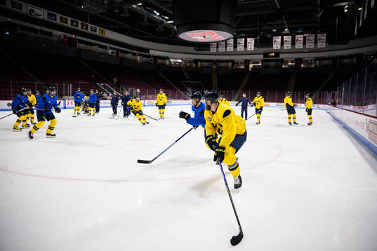 Elias Pettersson and Mattias Ekholm of Sweden at a practice