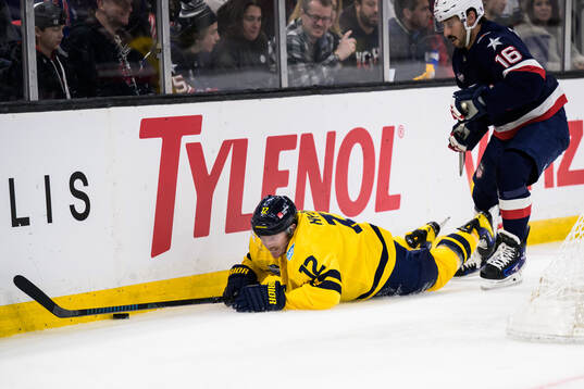 Gustav Nyquist of Sweden and Vincent Trocheck of USA