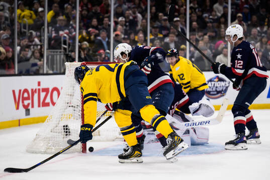 Joel Eriksson Ek of Sweden sees the 1-1 goal by Gustav
