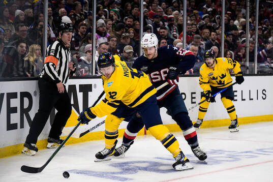 Gustav Nyquist of Sweden and Adam Fox of USA