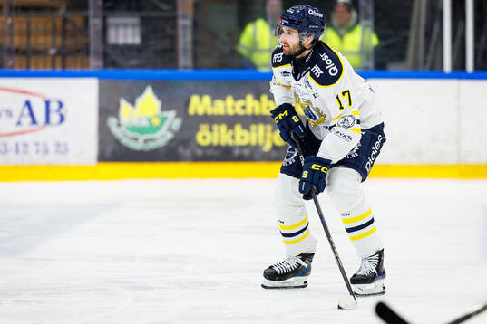 Södertäljes Amil Krupic