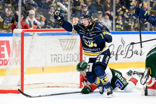HV71s Oscar Fisker Molgaard jublar