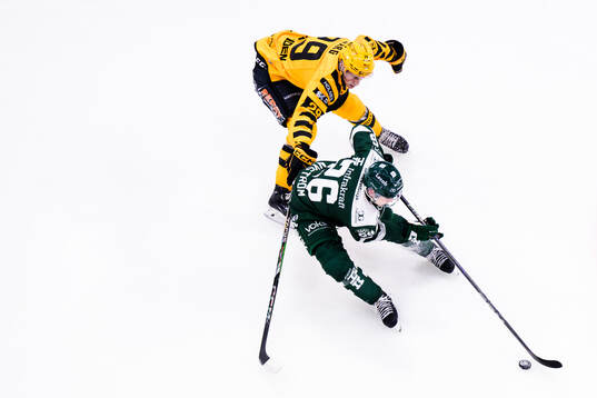 Skellefteås Ludvig Warg och Färjestads Joel Nyström