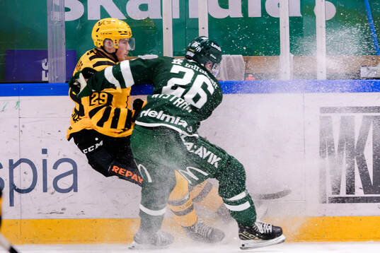 Skellefteås Ludvig Warg och Färjestads Joel Nyström