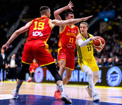 Zoran Nikolic and Djordije Jovanovic of Montenegro and Ludvig Håkanson of Sweden
