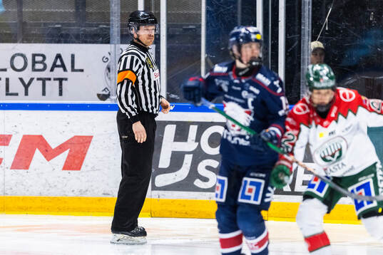 Domare David Gustafsson