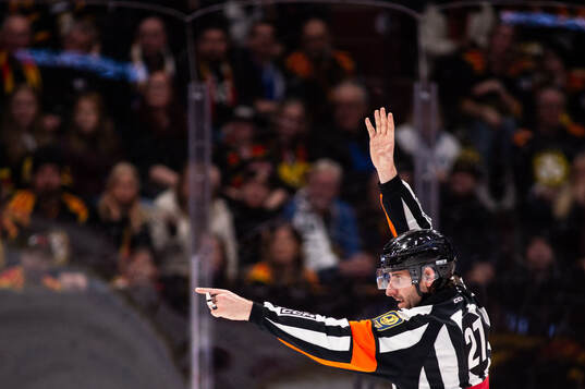 Domare Mikael Sjöqvist