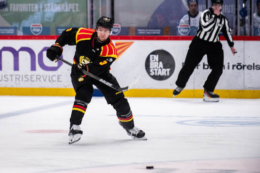 Brynäs Christian Djoos