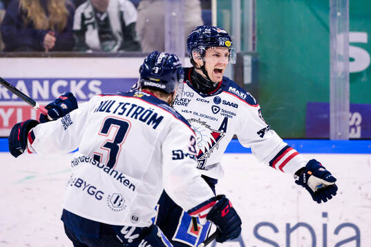 Linköpings Markus Ljungh jublar