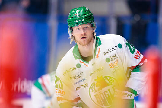 Rögles Joachim Blichfeld