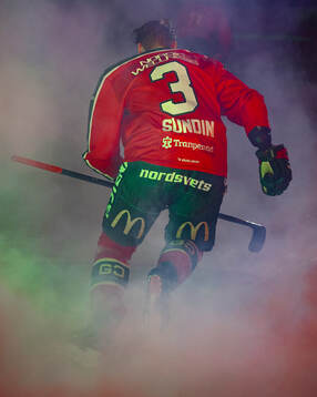 Frölundas Albin Sundin