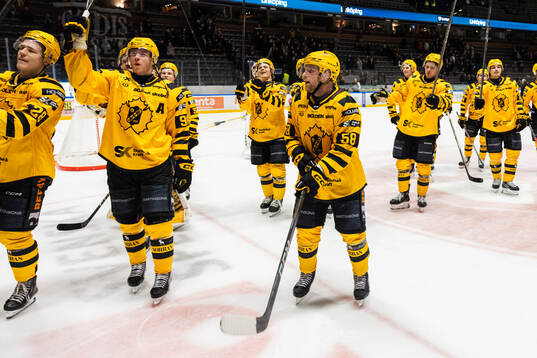Skellefteås Michael Brandsegg-Nygård, Rickard Hugg och