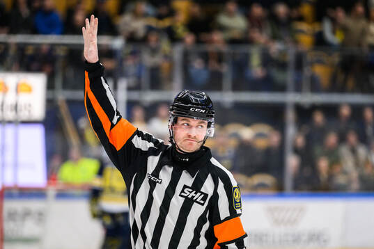 Domare Daniel Eriksson