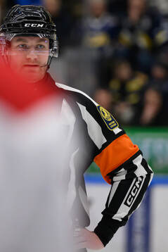 Domare Daniel Eriksson