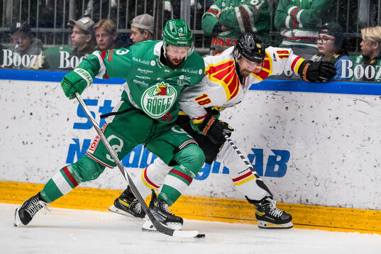 Rögles Michael Kapla och Brynäs Anton Rödin