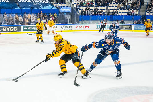 Skellefteås Anton Heikkinen och Växjös Brian Cooper