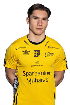 Adnan Skrijelj