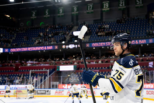 HV71s Radan Lenc