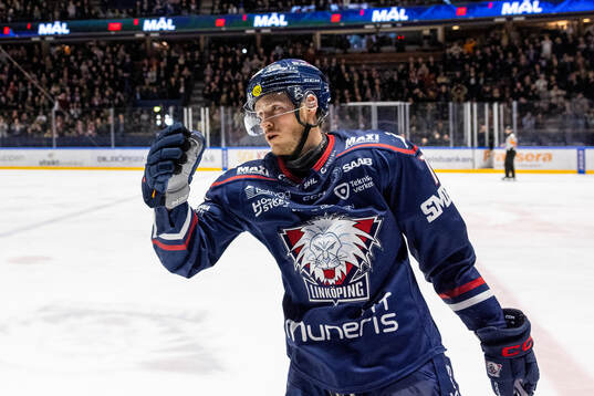 Linköpings Henrik Törnqvist jublar