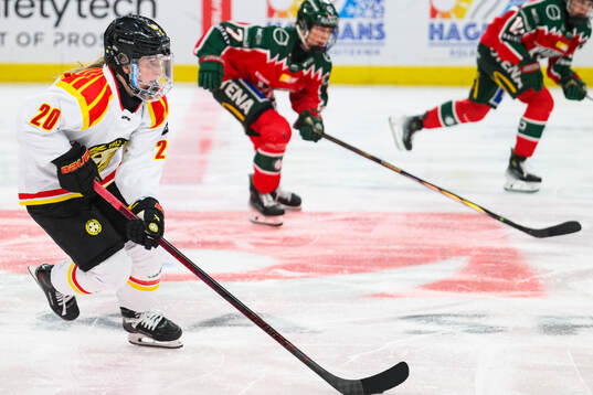 Brynäs Celine Tedenby