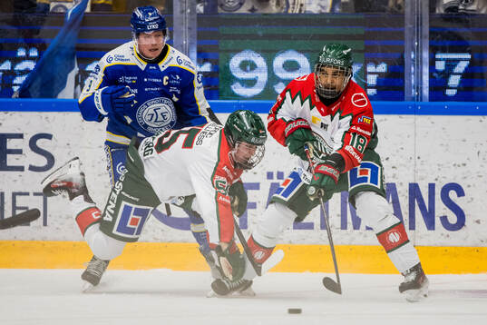Leksands Patrik Zackrisson och Frölundas Ivar Stenberg och