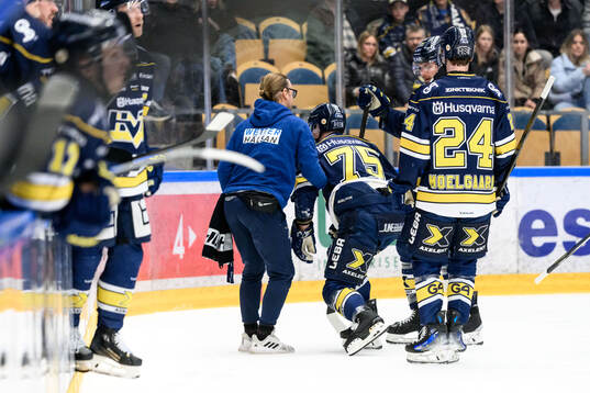 HV71s Radan Lenc