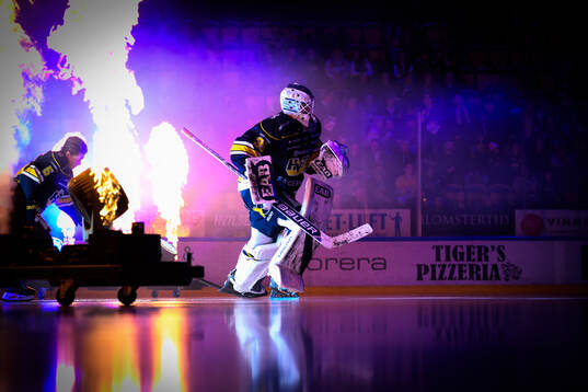 HV71s målvakt Olof Glifford