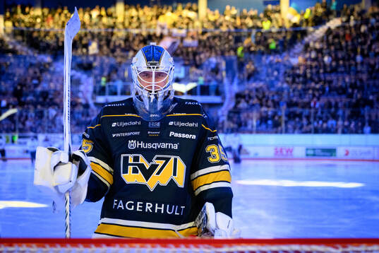 HV71s målvakt Olof Glifford