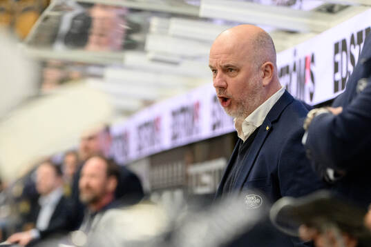 HV71s assisterande tränare Stefan Nyman