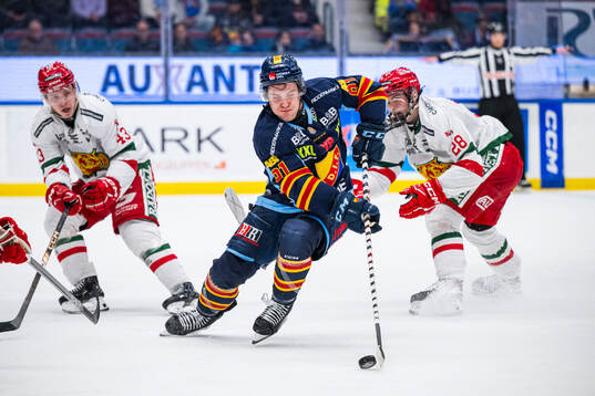 Djurgårdens Tyler Kelleher