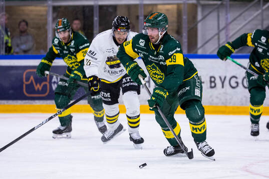 Björklövens Theoklis Theocharidis