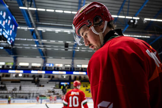 Modos David Bernhardt