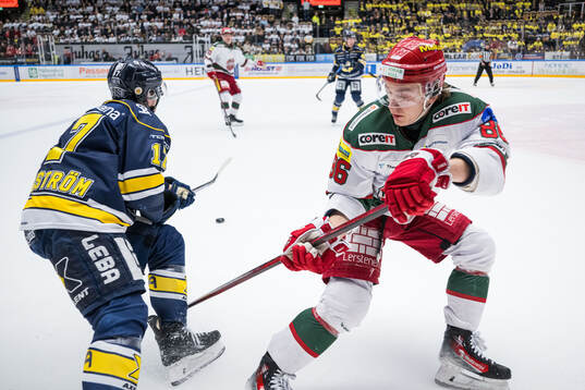 HV71s Isac Brännström och Modos Lukas Jasek