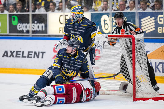 HV71s målvakt Frederik Dichow och Mikael Seppälä och