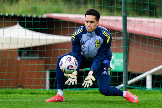 Goalkeeper Oliver Dovin of the Swedish men's national