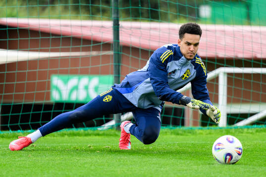 Goalkeeper Oliver Dovin of the Swedish men's national