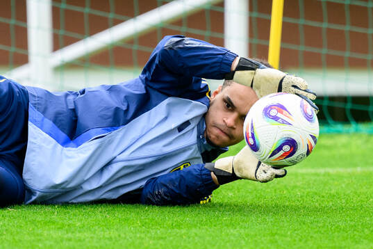 Goalkeeper Oliver Dovin of the Swedish men's national