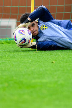 Goalkeeper Oliver Dovin of the Swedish men's national