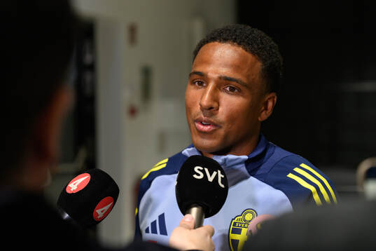 Niclas Eliasson of the Swedish men's national football team
