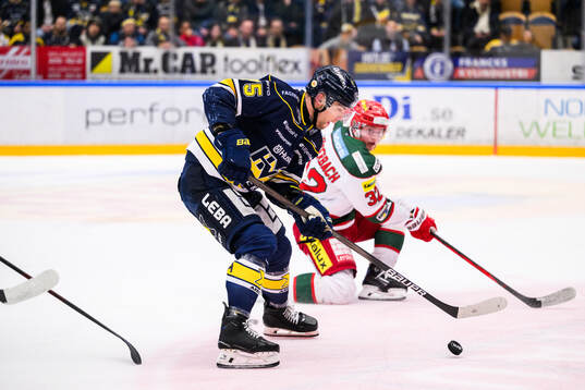 HV71s Radan Lenc och Modos Theodor Niederbach