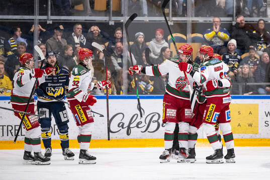 Modos David Bernhardt jublar