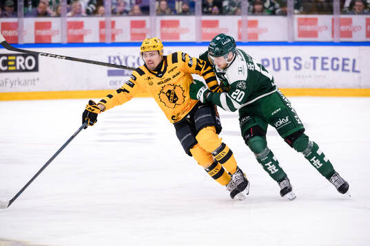 Skellefteås Andreas Johnson och Färjestads Marcus