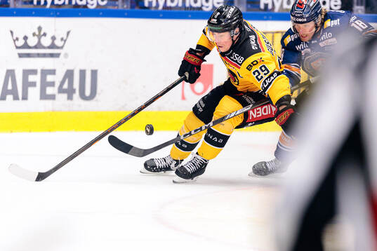 Luleås Erik Gustafsson och Växjös Marcus Sylvegård