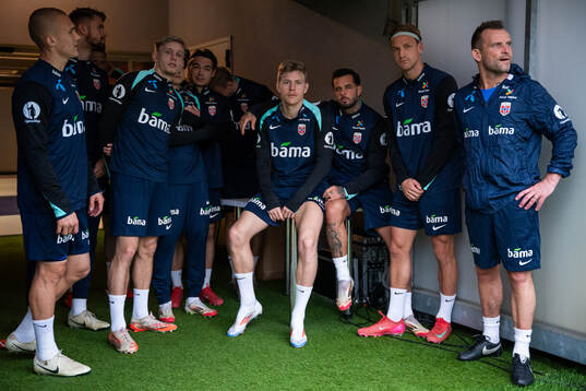 Marcus Holmgren Pedersen, Jens Petter Hauge, Aron Dønnum,