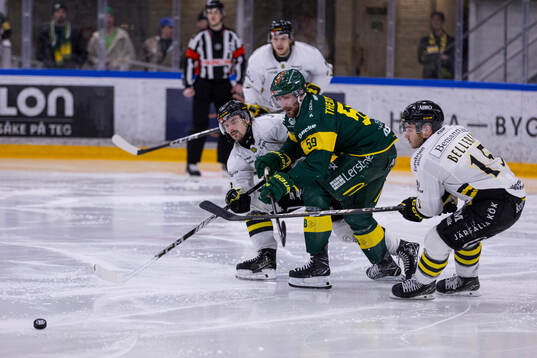 AIKs Gerry Fitzgerald och Björklövens Theoklis