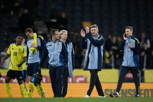 Head coach Jon Dahl Tomasson of Sweden