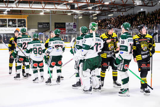 Vimmerbys och Tingsryds spelare tackar varandra