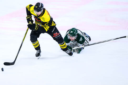 Vimmerbys William Alftberg och Tingsryds Märtin Skärberg