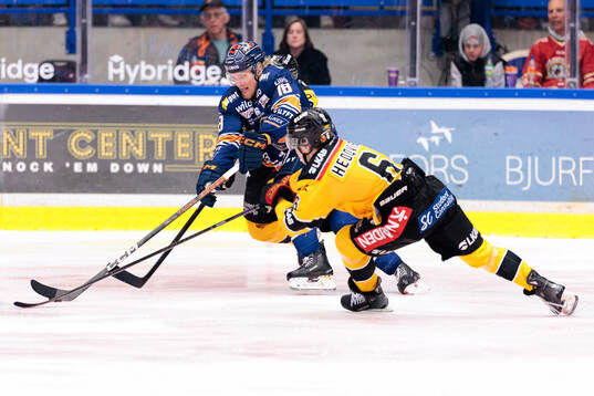 Växjös Marcus Sylvegård