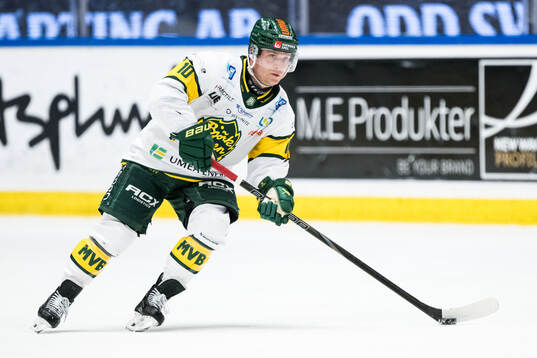 Björklövens Marcus Nilsson